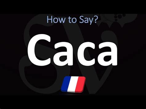 how to say crap in french|How to say crap in French .